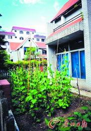 娱乐圈爆料售卖豪宅,明星豪宅热销,揭秘豪宅背后的故事 第1张 娱乐圈爆料售卖豪宅,明星豪宅热销,揭秘豪宅背后的故事 第1张